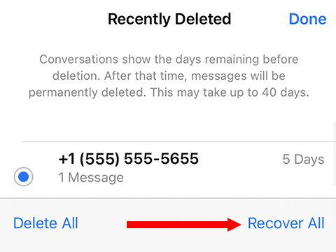 Choose which deleted messages you want recovered to iPhone.